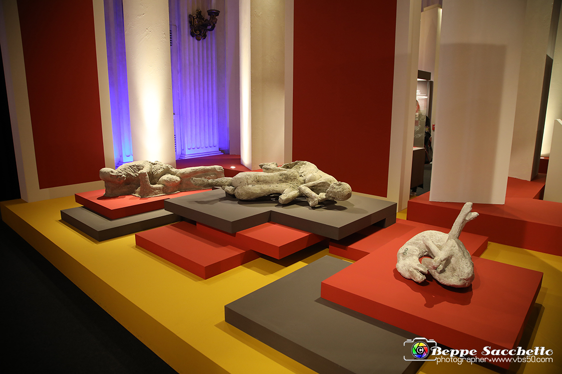 VBS_8973 - Mostra Invito a Pompei.jpg
